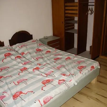 Vintage 2 Fuer 2-3-4 سشورفلنغ