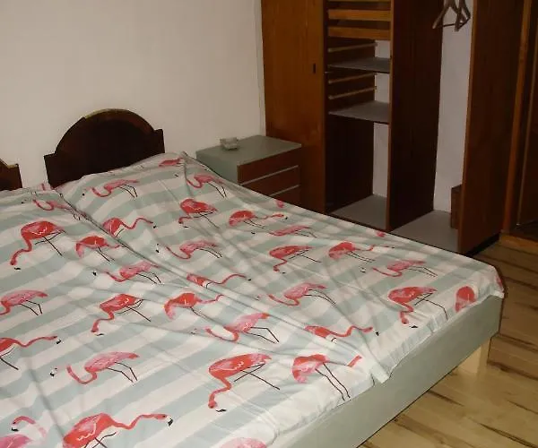 Vintage 2 Fuer 2-3-4 Шёрфлинг